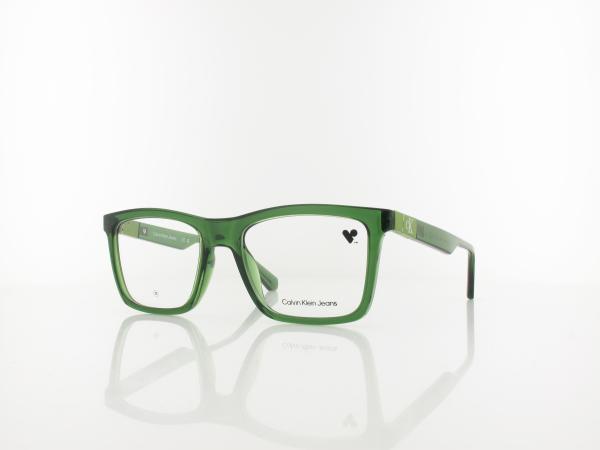 Calvin Klein | CKJ23649 300 53 | green