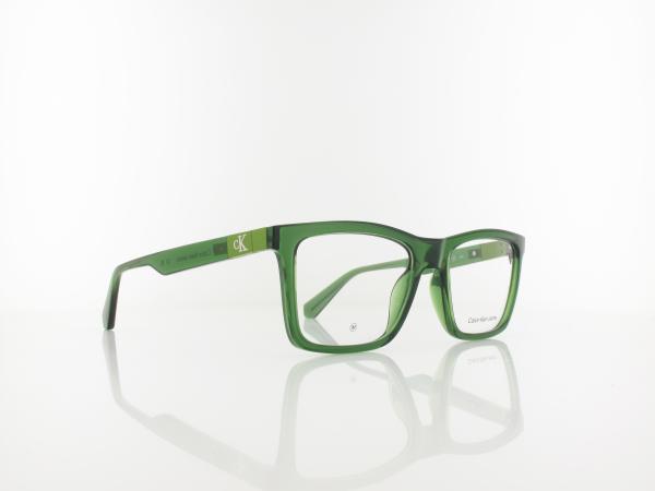 Calvin Klein | CKJ23649 300 53 | green