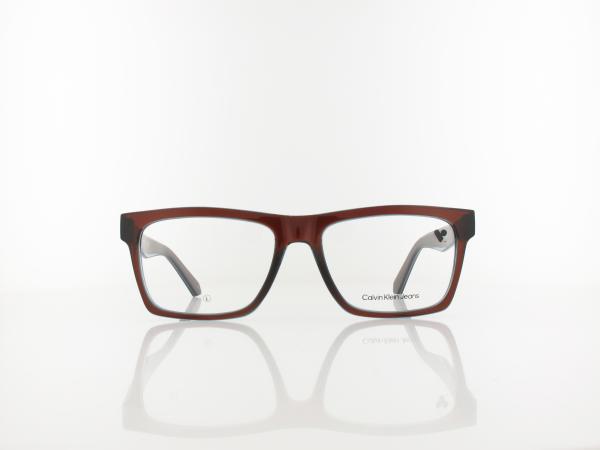 Calvin Klein | CKJ24617 246 55 | taupe