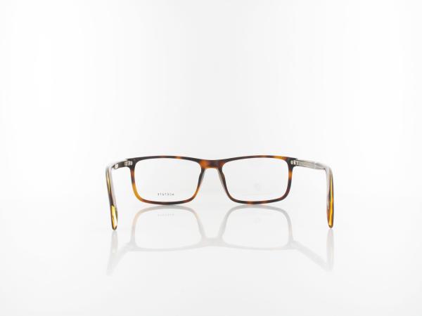 David Beckham | DB 1019 WR9 54 | brown havana