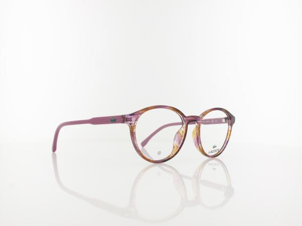 Lacoste | L3658 219 48 | havana liliac