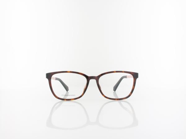 Polaroid | PLD D826 0T4 48 | havana pink