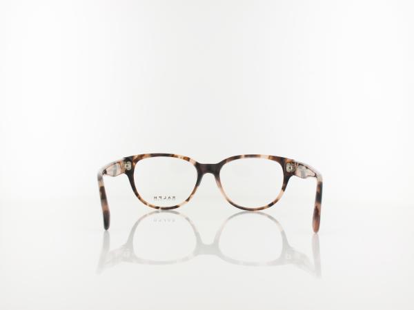 Ralph | RA7151 6058 52 | shiny rose havana