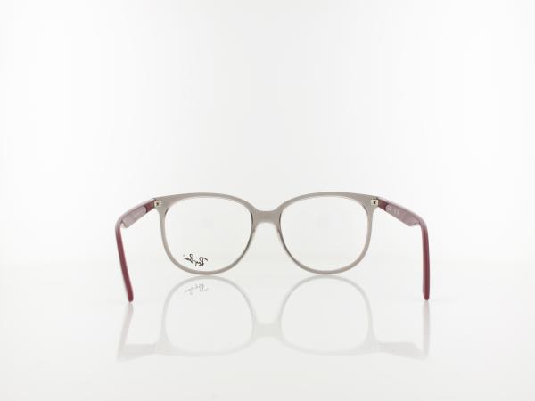 Ray Ban | RX4378V 8083 54 | transparent grey