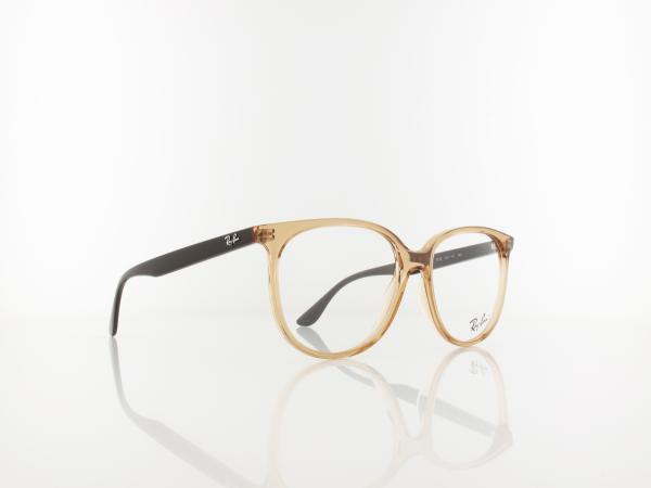 Ray Ban | RX4378V 8172 54 | transparent brown