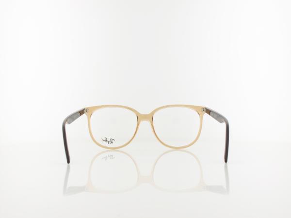 Ray Ban | RX4378V 8172 54 | transparent brown