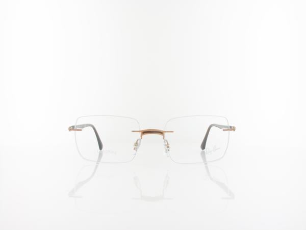 Ray Ban | RX8767 1227 53 | brown on light brown