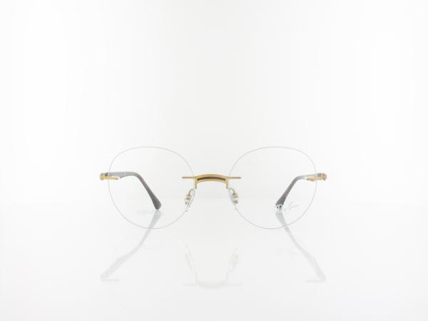 Ray Ban | RX8768 1194 50 | brown on arista