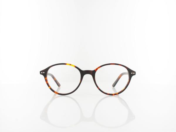 Brilando | A51 0 49 | turtle