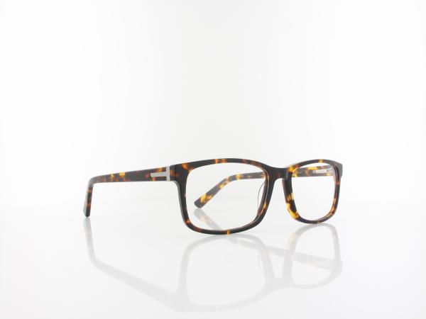 Brilando | A56 A 55 | turtle