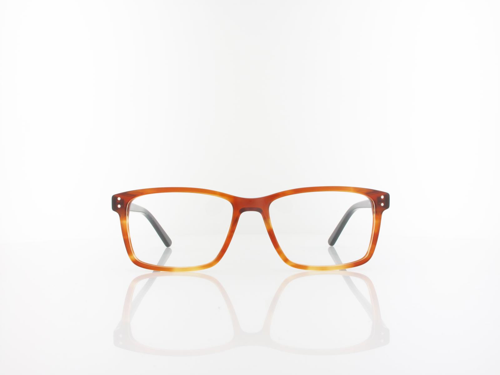 Brilando | A85 B 53 | brown