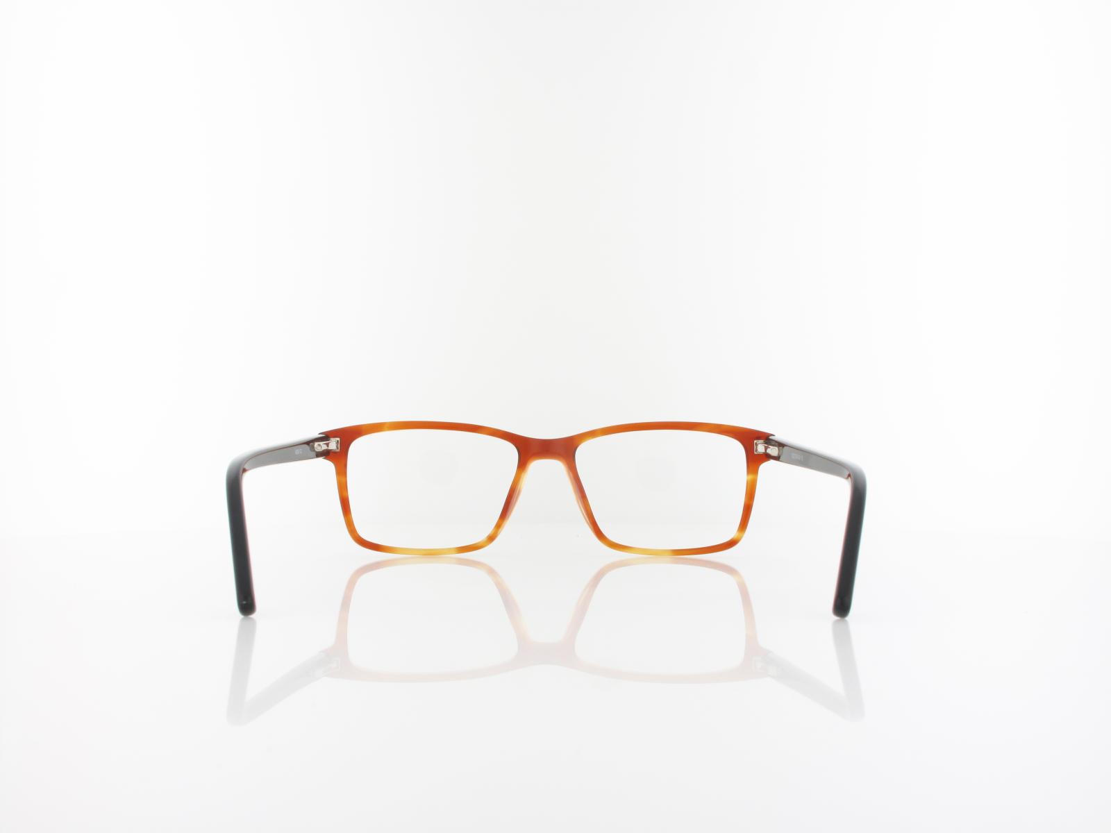 Brilando | A85 B 53 | brown