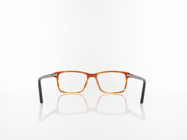 Brilando | A85 B 53 | brown