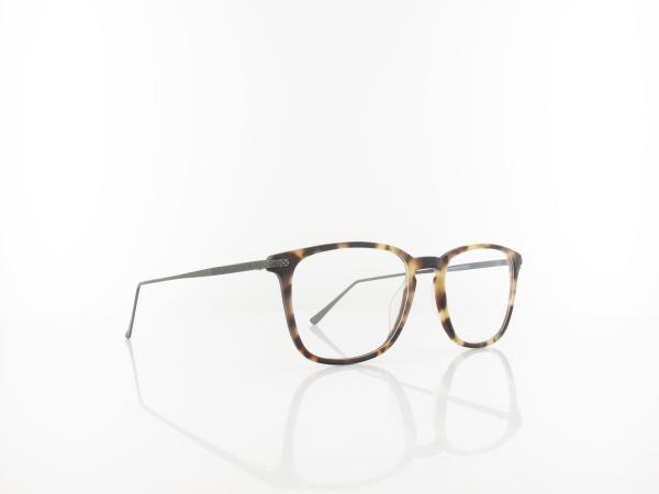 Brilando | AC41 F 52 | light turtle