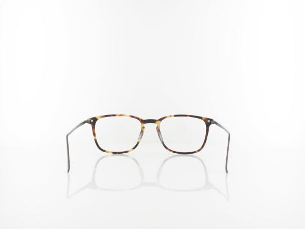 Brilando | AC41 F 52 | light turtle