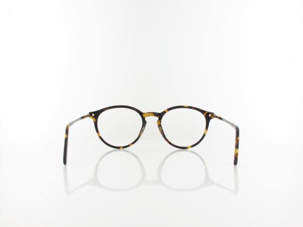 Brilando | AC50 B 50 | turtle
