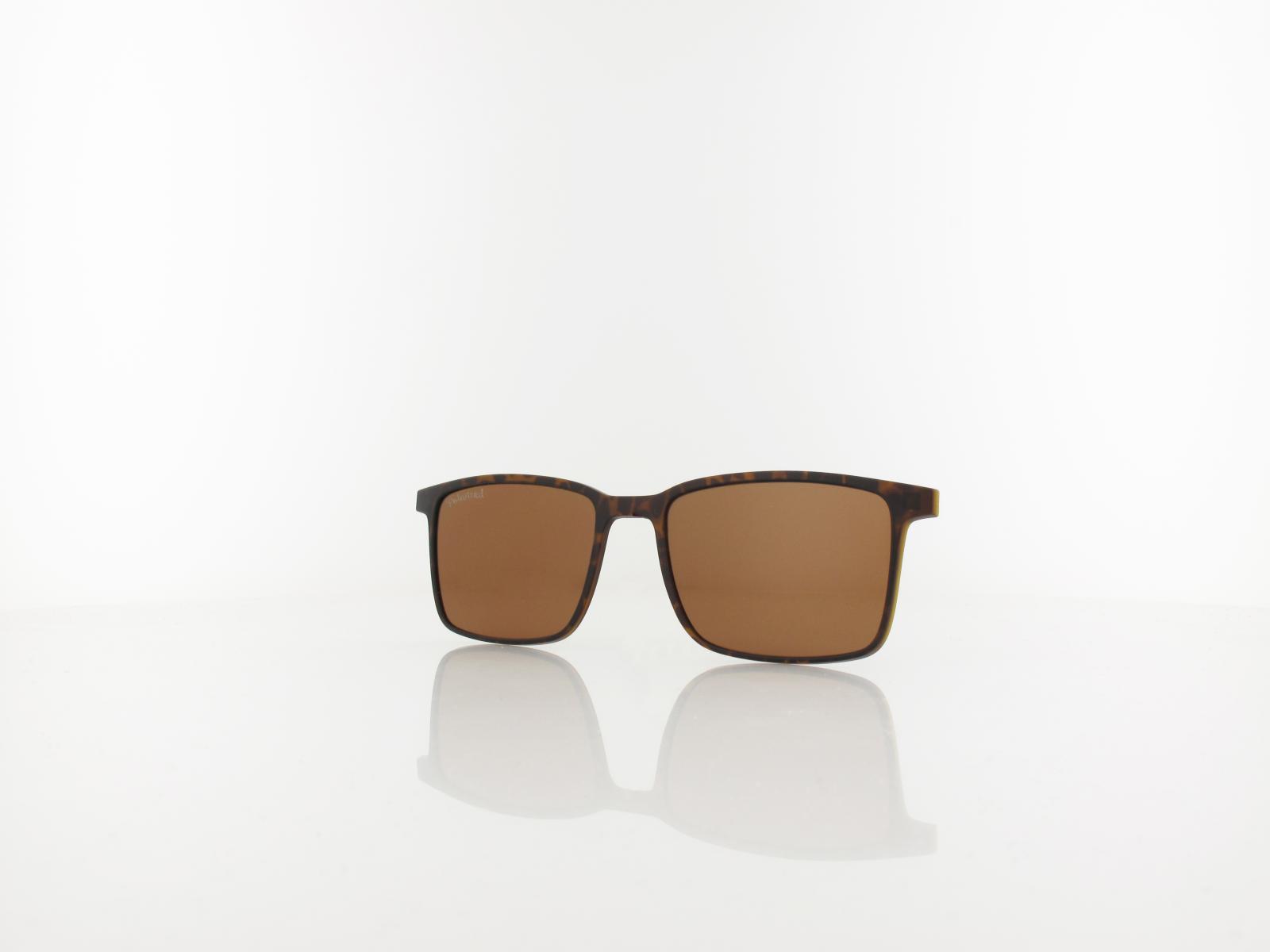Brilando | CLIP TRC-191A 2 | turtle / brown polarized