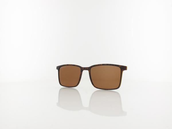 Brilando | CLIP TRC-191A 2 | turtle / brown polarized