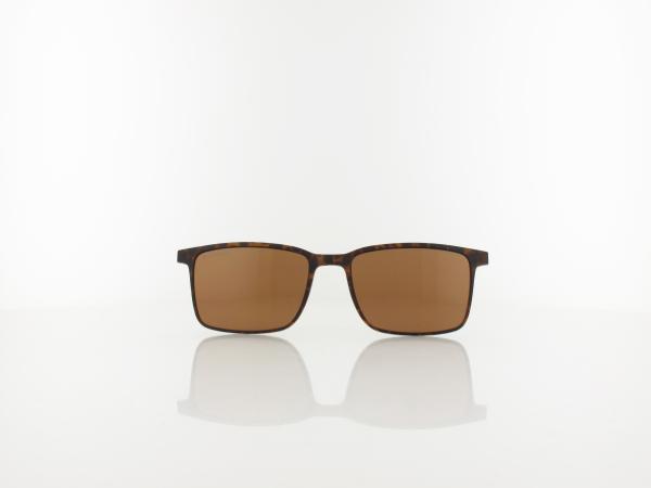 Brilando | CLIP TRC-191A 2 | turtle / brown polarized
