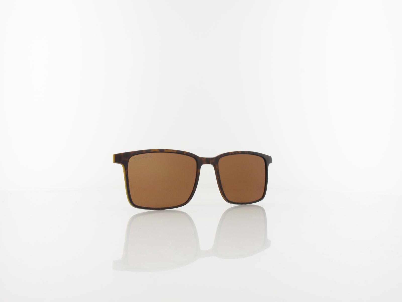 Brilando | CLIP TRC-191A 2 | turtle / brown polarized