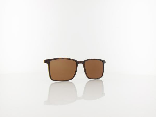 Brilando | CLIP TRC-191A 2 | turtle / brown polarized