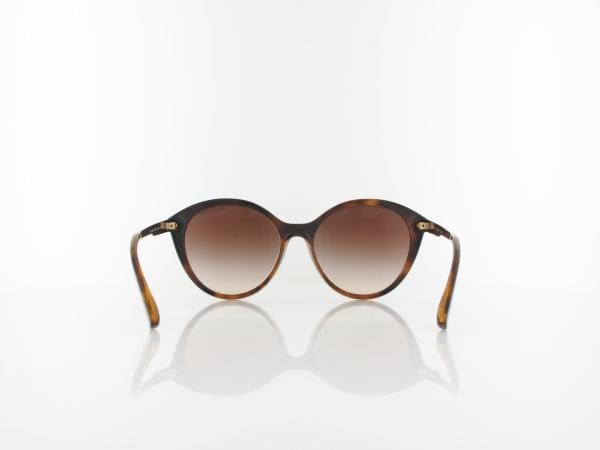 Armani Exchange | AX4134S 821313 55 | shiny havana / gradient brown
