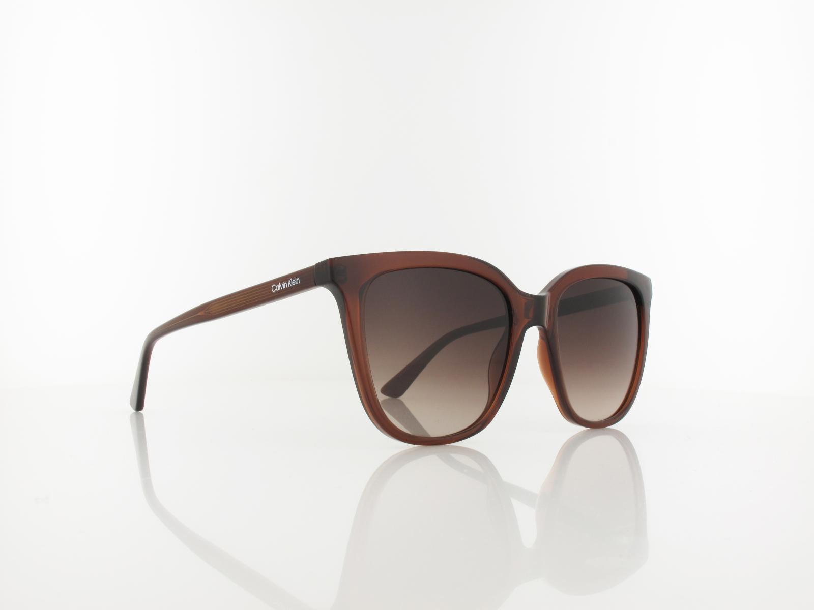 Calvin Klein | CK23506S 200 53 | brown / brown gradient