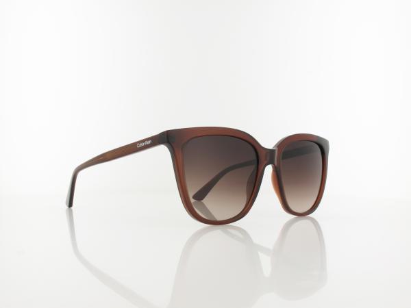 Calvin Klein | CK23506S 200 53 | brown / brown gradient