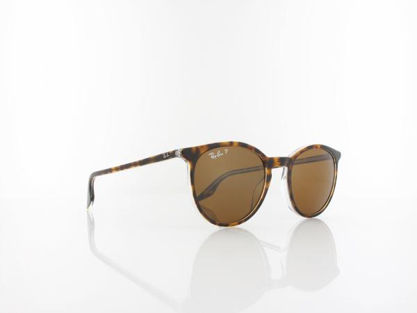 Ray Ban | RB2204 139357 51 | havana on transparent / polar brown