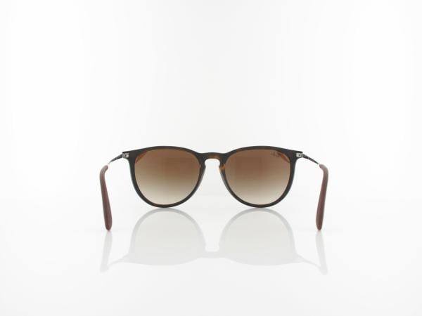 Ray Ban | Erika RB4171 865/13 54 | rubberized havana / brown gradient