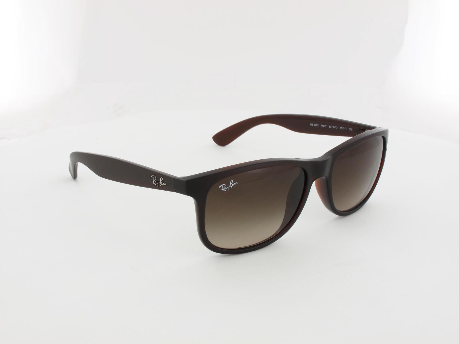Ray Ban | Andy RB4202 607313 55 | matte brown / brown gradient