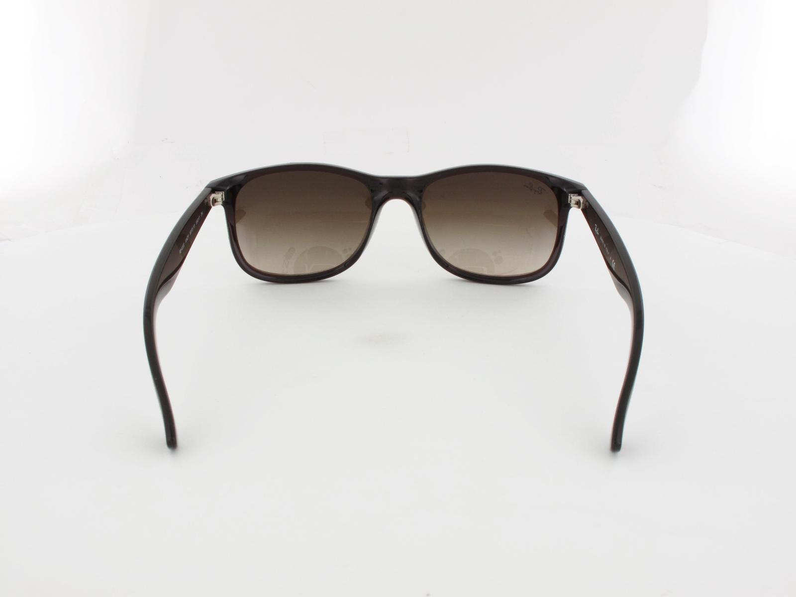 Ray Ban | Andy RB4202 607313 55 | matte brown / brown gradient
