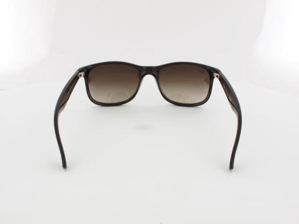 Ray Ban | Andy RB4202 607313 55 | matte brown / brown gradient