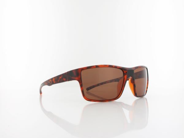 Red Bull SPECT | CHASE 04P 59 | havana / brown