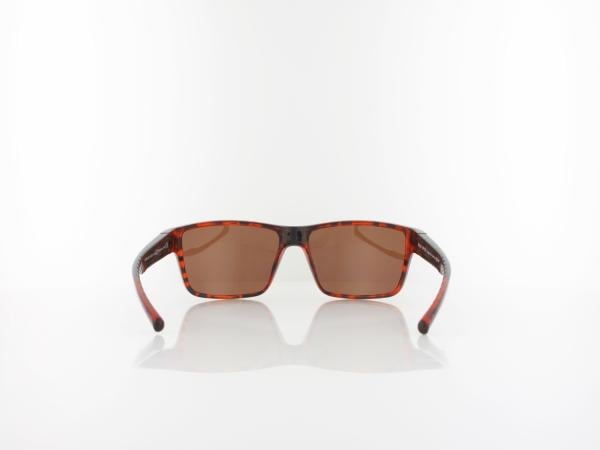 Red Bull SPECT | CHASE 04P 59 | havana / brown
