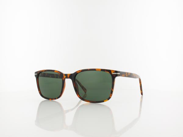 Brilando | SG-CP119 C 53 | transparent turtle / g15