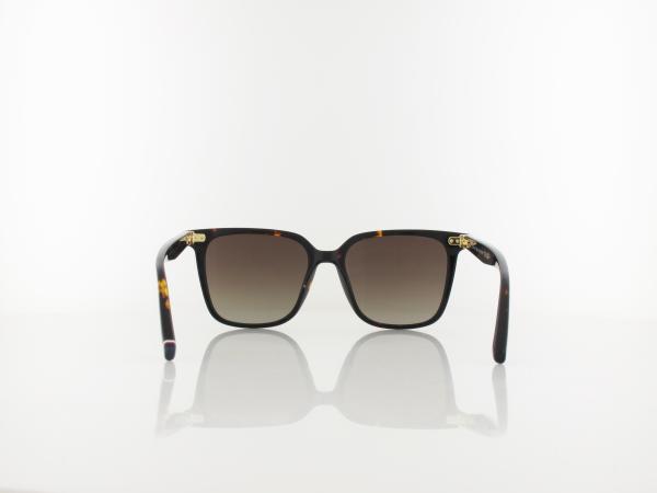 Tommy Hilfiger | TH 2211/S 086/HA 53 | havana / brown shaded