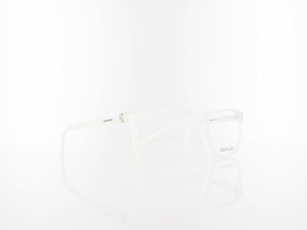 Calvin Klein | CK19573 971 54 | matte crystal