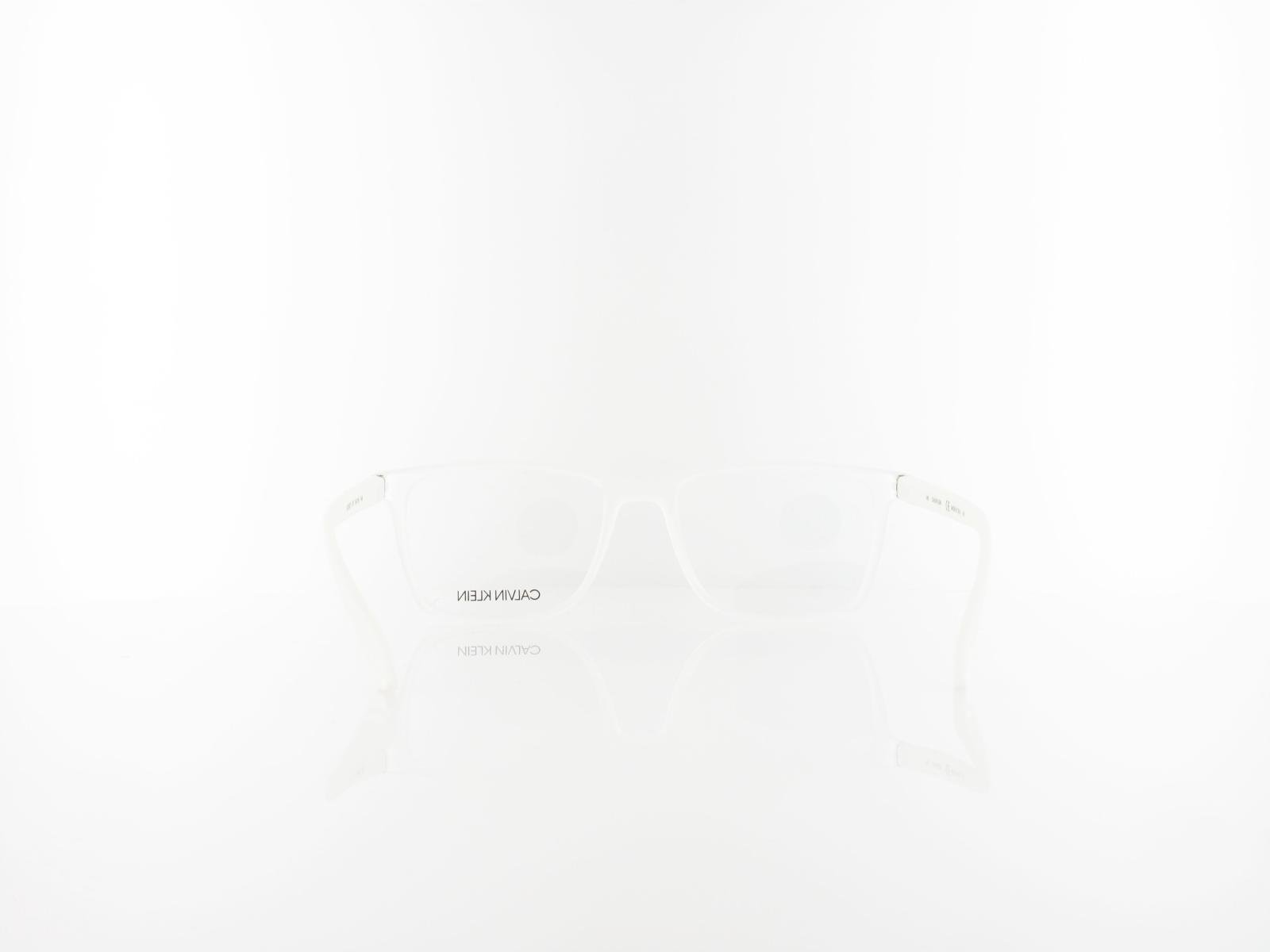 Calvin Klein | CK19573 971 54 | matte crystal