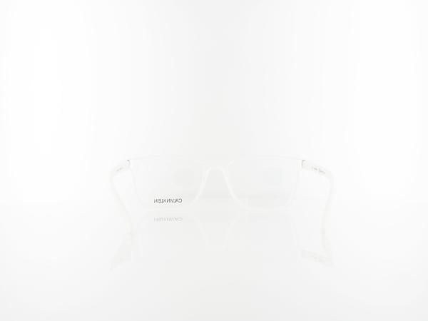 Calvin Klein | CK19573 971 54 | matte crystal