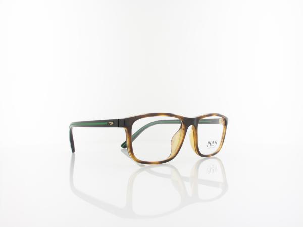Polo Ralph Lauren | PH2239U 5003 54 | shiny havana