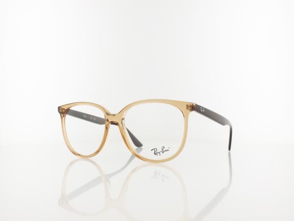 Ray Ban | RX4378V 8172 54 | transparent brown