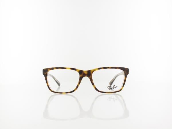 Ray Ban | RY1536 3602 48 | top dark havana on trasparent