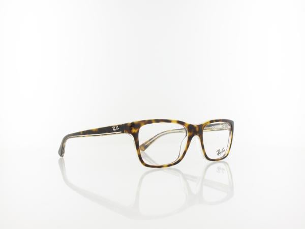 Ray Ban | RY1536 3602 48 | top dark havana on trasparent