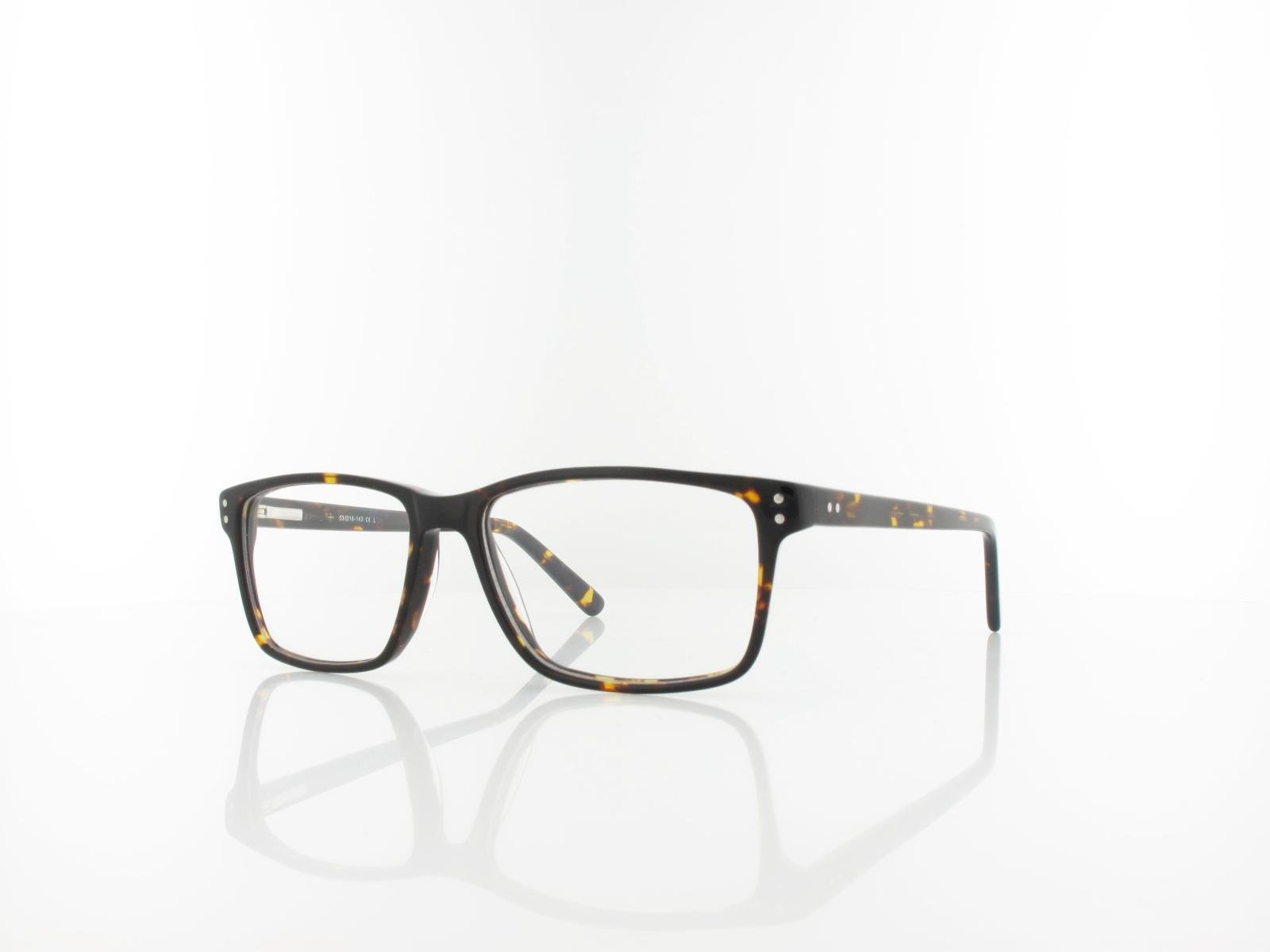 Brilando | A85 A 53 | turtle