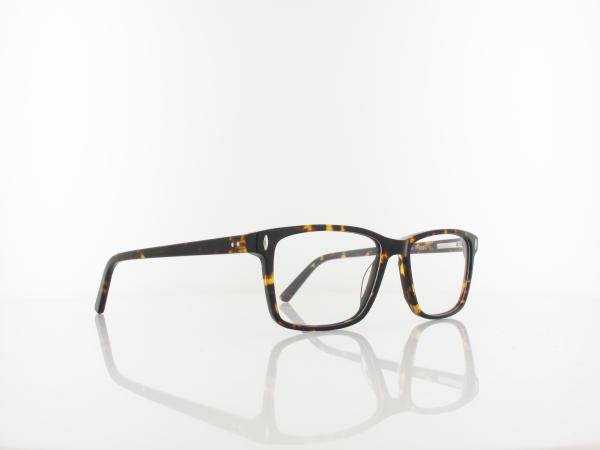 Brilando | A93 A 53 | turtle brown