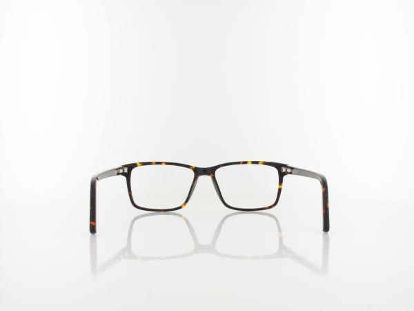 Brilando | A93 A 53 | turtle brown