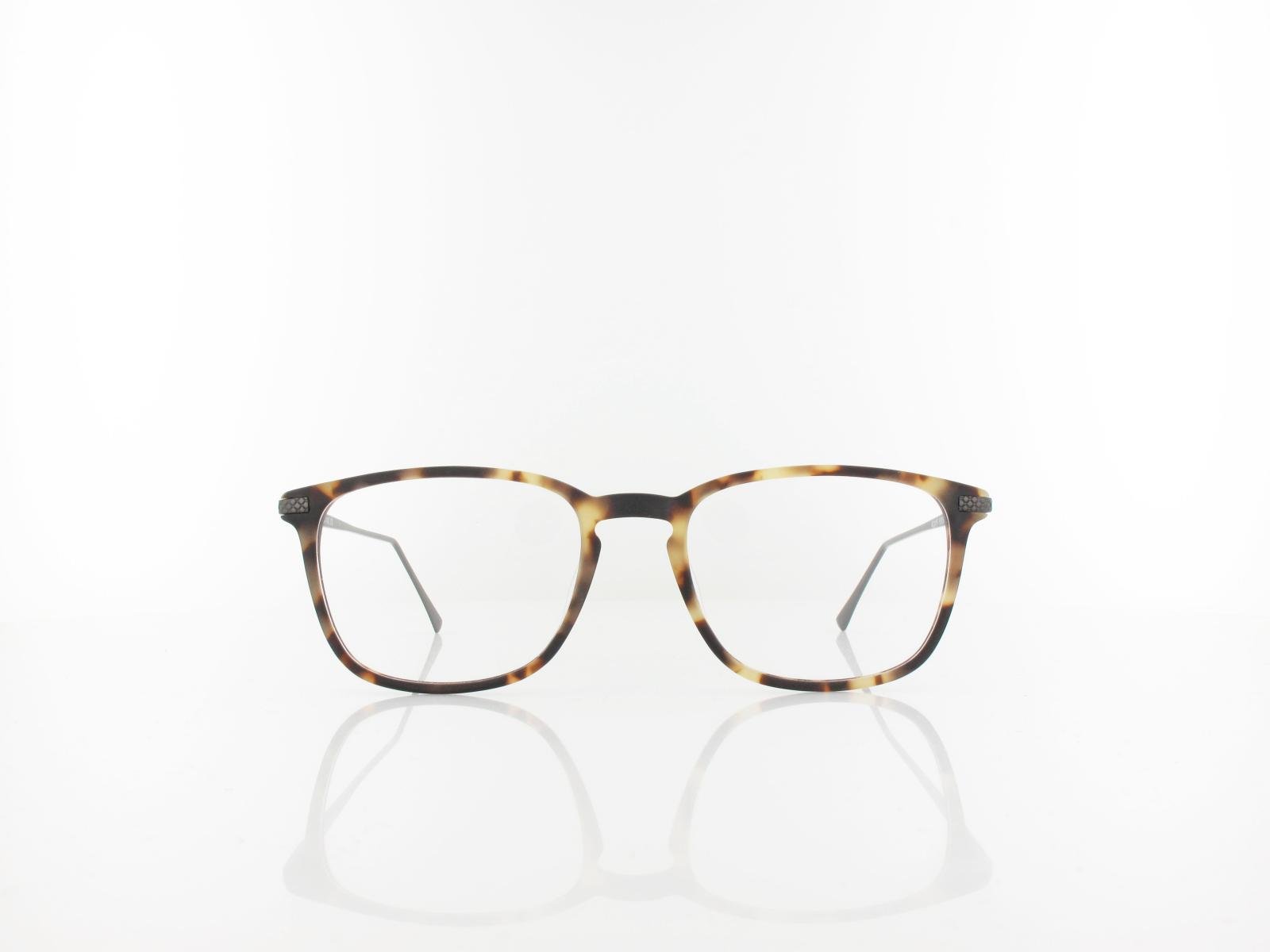 Brilando | AC41 F 52 | light turtle