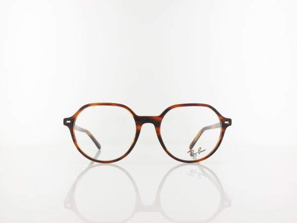 Ray Ban | Thalia RX5395 2144 51 | striped havana
