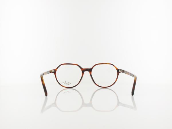 Ray Ban | Thalia RX5395 2144 51 | striped havana